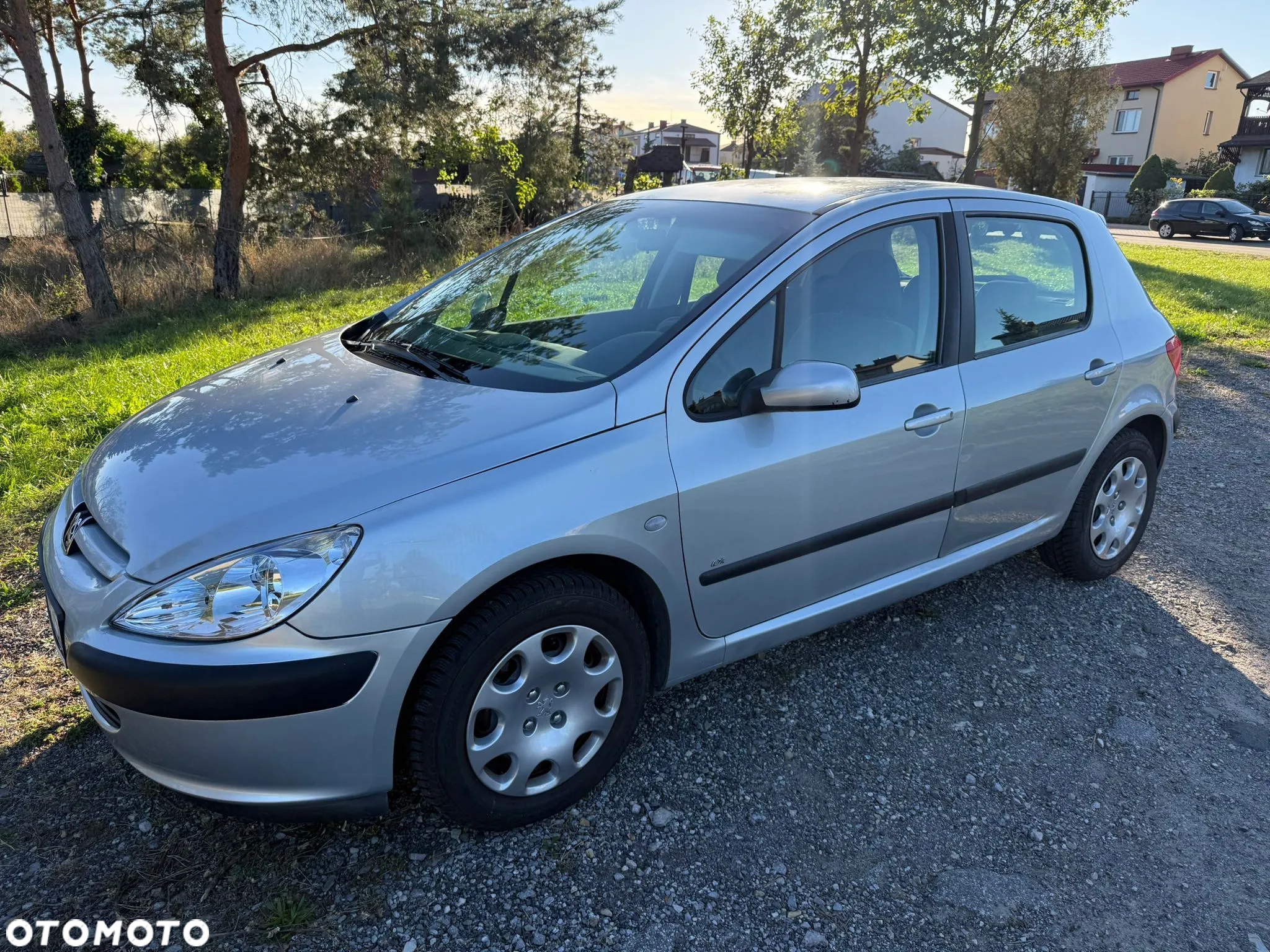 Peugeot 307 1.6 XR - 20