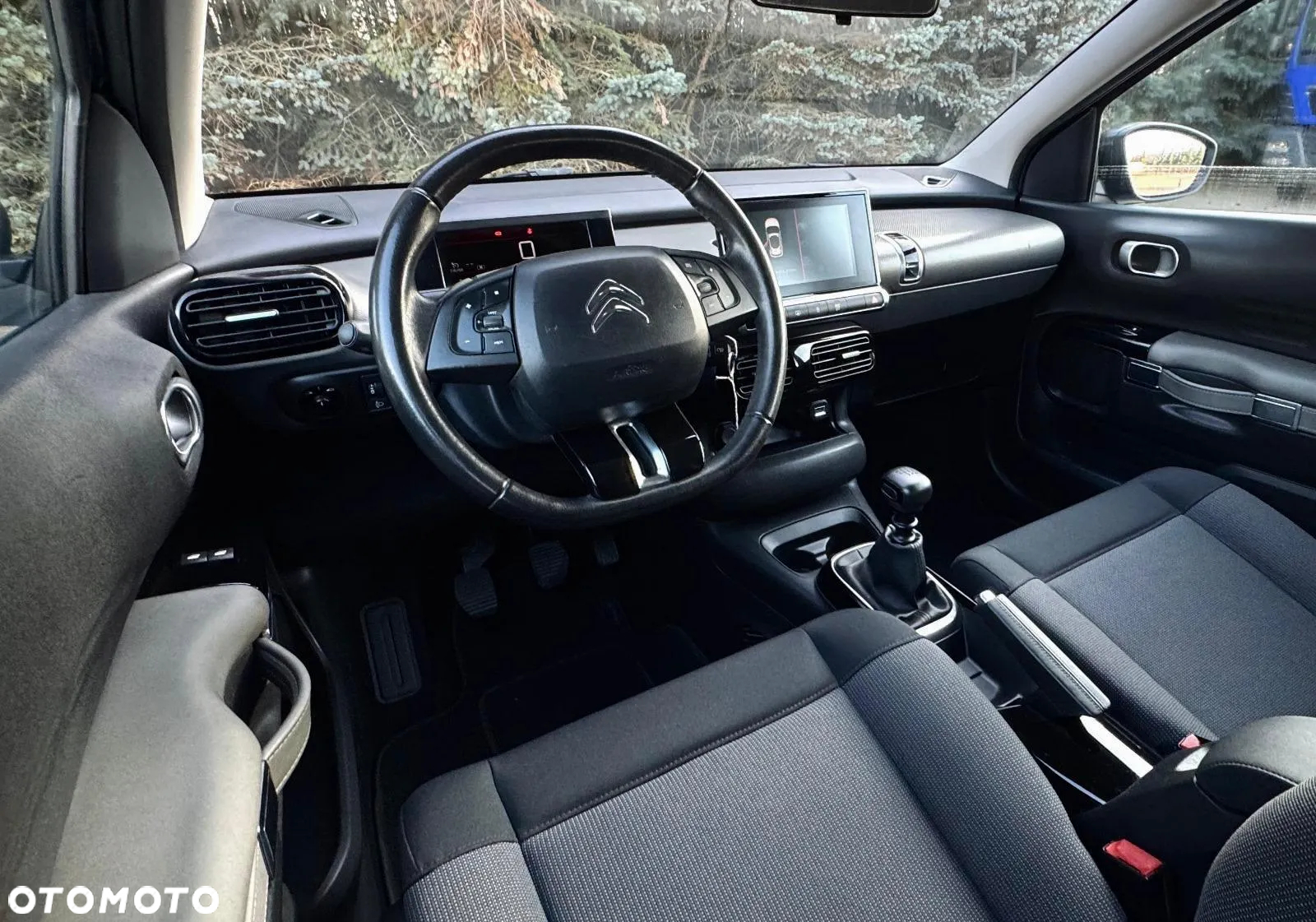 Citroën C4 Cactus - 25