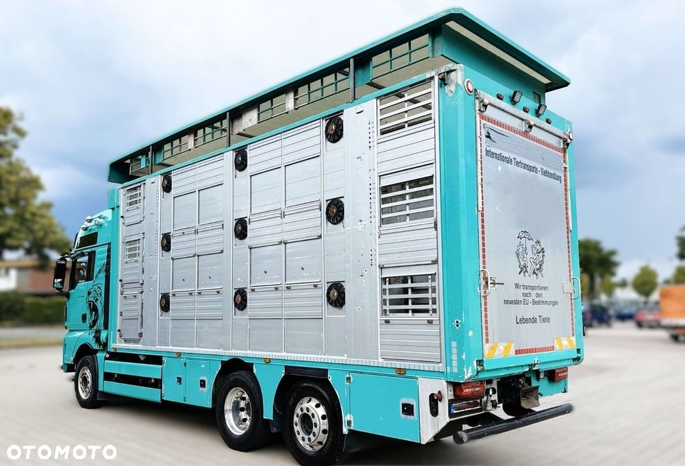 MAN TGX 26.640 D38 6x2 | 3 POZIOMY | TRANSPORT ZWIERZĄT | 640 KM | RETARDER | 2019 - 7