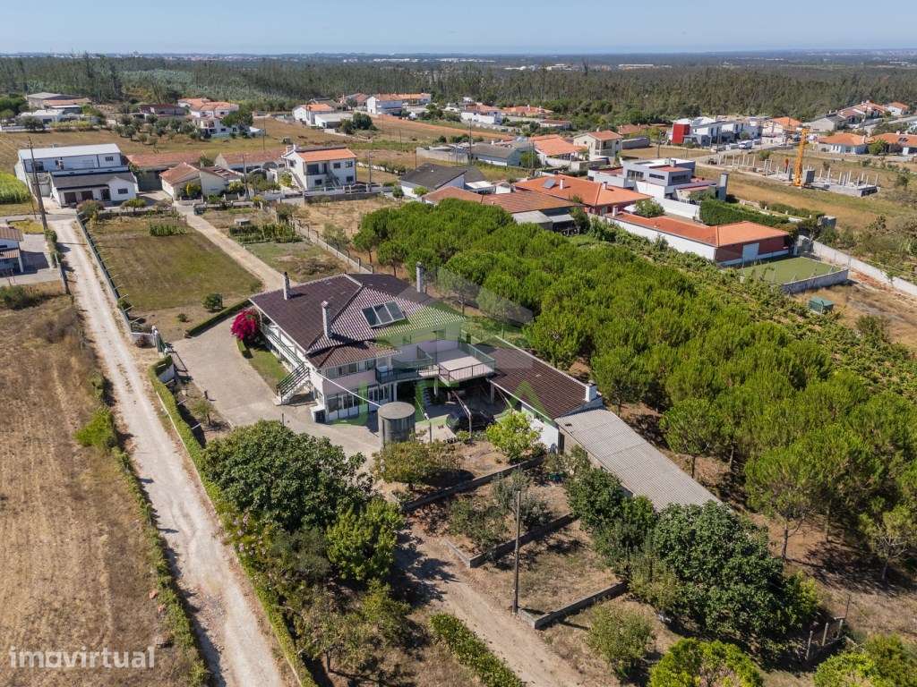 Moradia V3+2 com 4.010m2 de terreno a 5min de Leiria - Grande imagem: 3/60