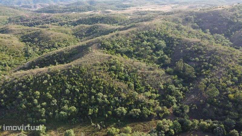 2 terrenos são marcos da serra - Grande imagem: 2/12