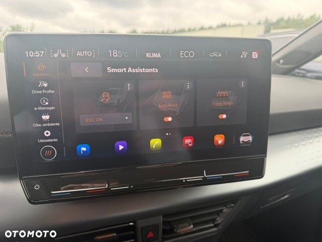 Cupra Born - 15
