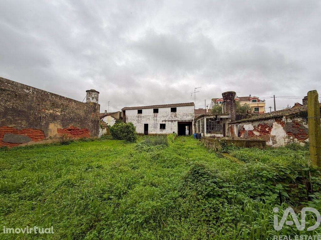 Moradia térrea em Benfica do Ribatejo - Grande imagem: 2/36