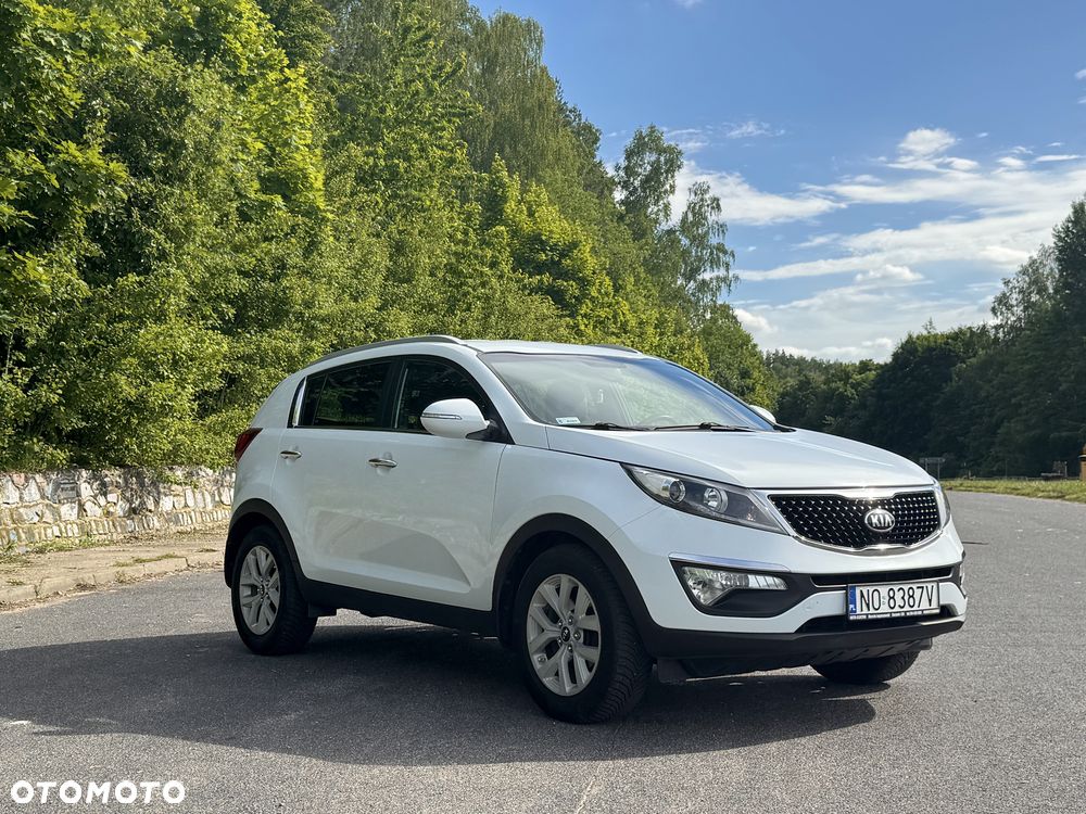 Kia Sportage - 1