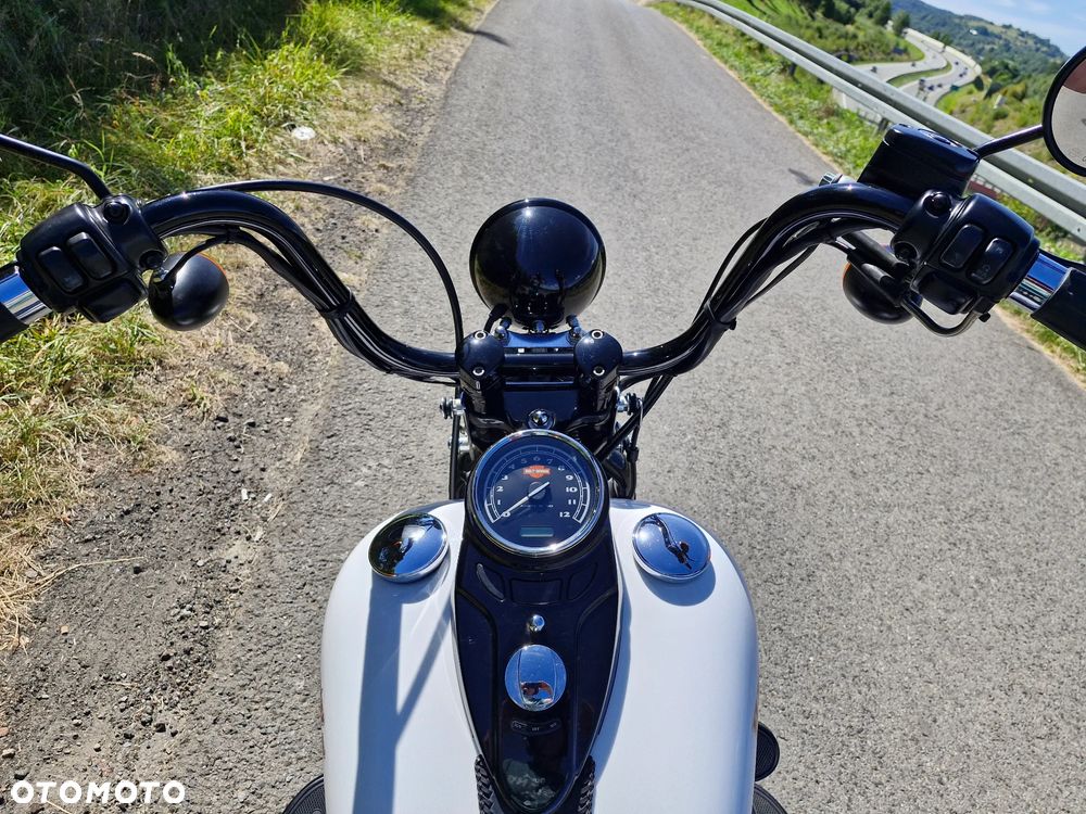 Harley-Davidson Softail Cross Bones - 6