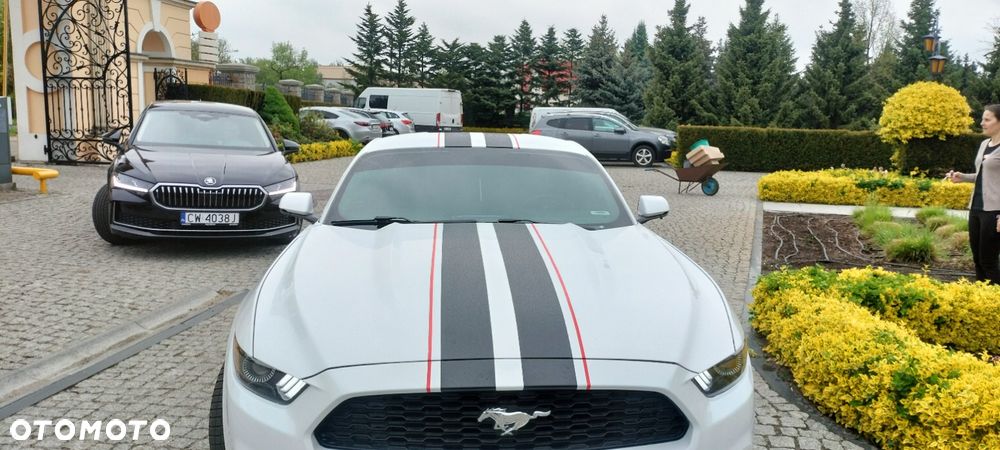 Ford Mustang 2.3 EcoBoost - 21