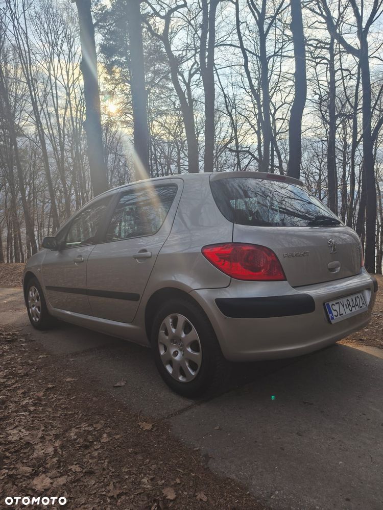 Peugeot 307 - 7