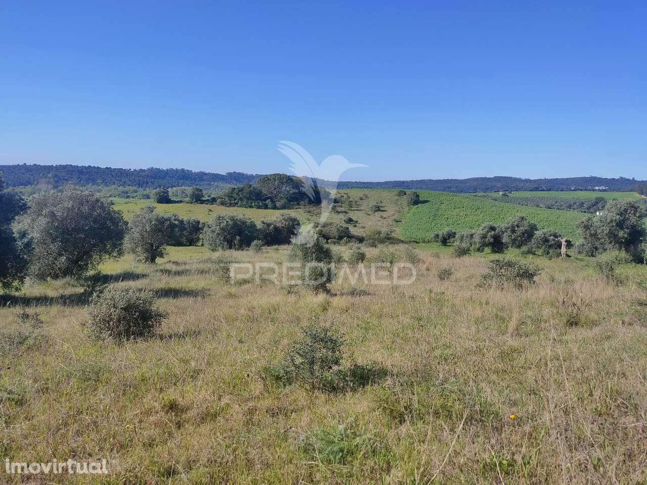 Terreno Rústico - Monsanto, Alcanena - Grande imagem: 3/9