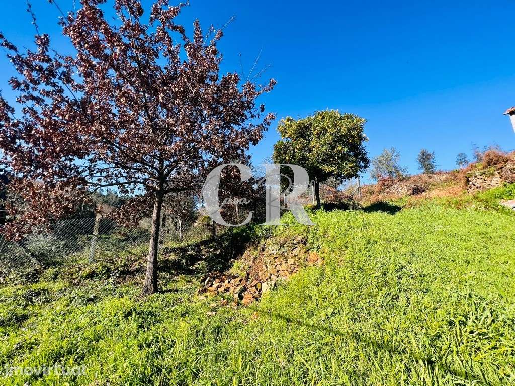 Ruína para reconstrução implantada em terreno com boa vista, a confron - Grande imagem: 3/24