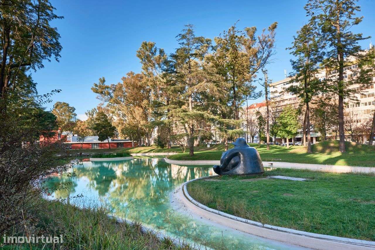 Mimoso T1 Junto Jardim Campo Grande e metro Alvalade - Grande imagem: 4/41