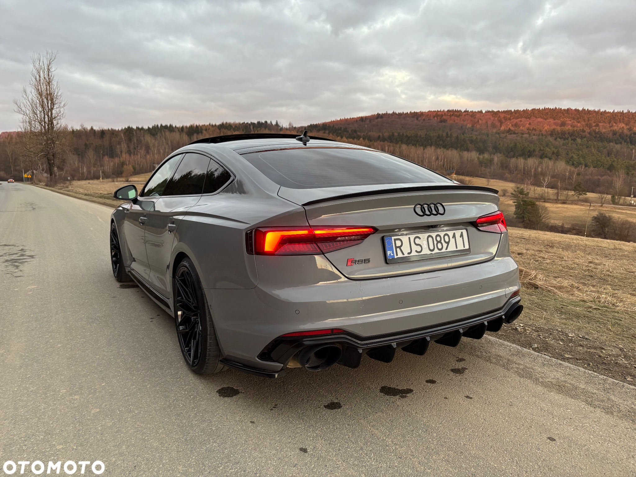 Audi RS5 Sportback 2.9 TFSI quattro tiptronic - 18