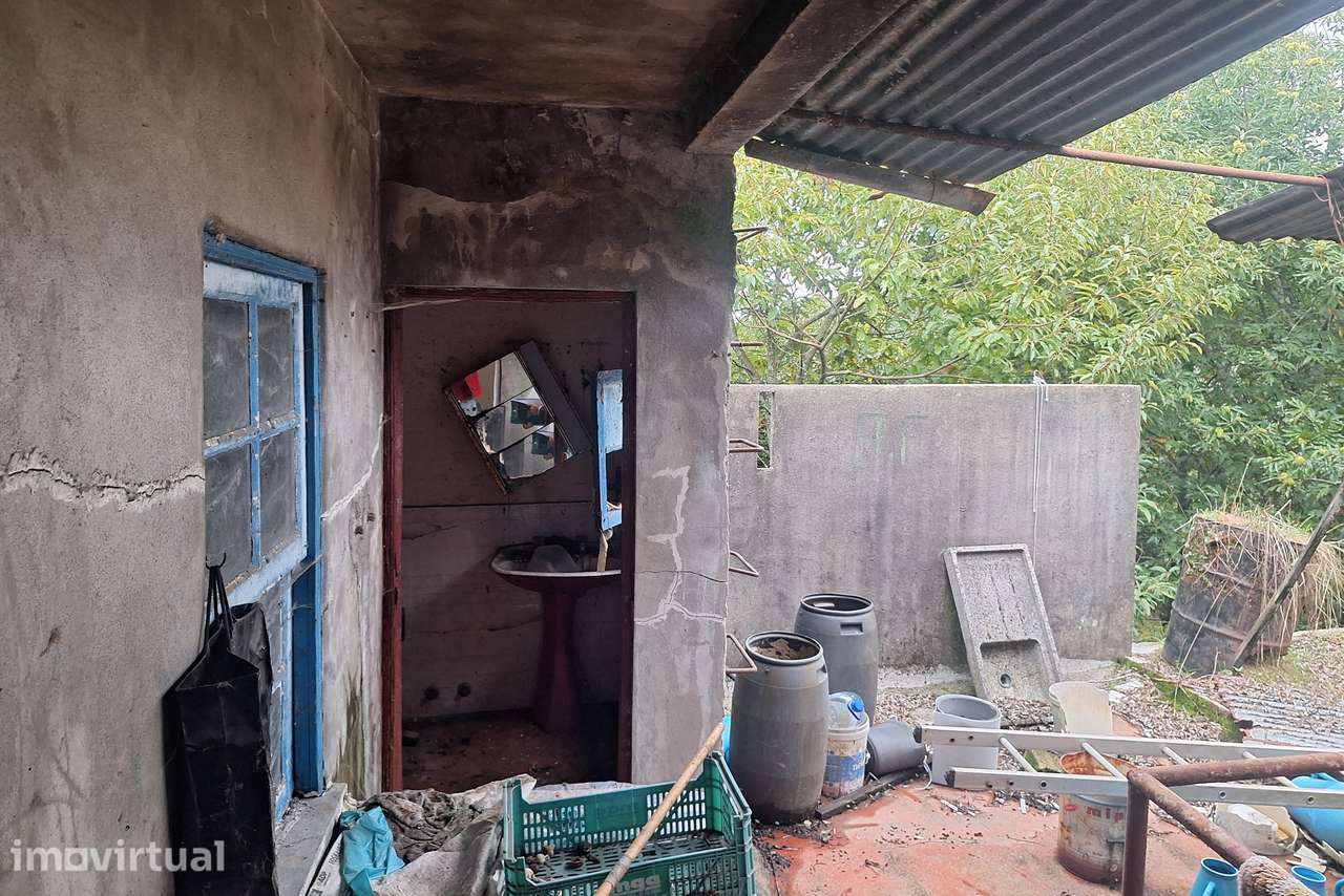 Moradia para Restaurar T1+2 Venda em Santiago de Besteiros,Tondela - Grande imagem: 3/20