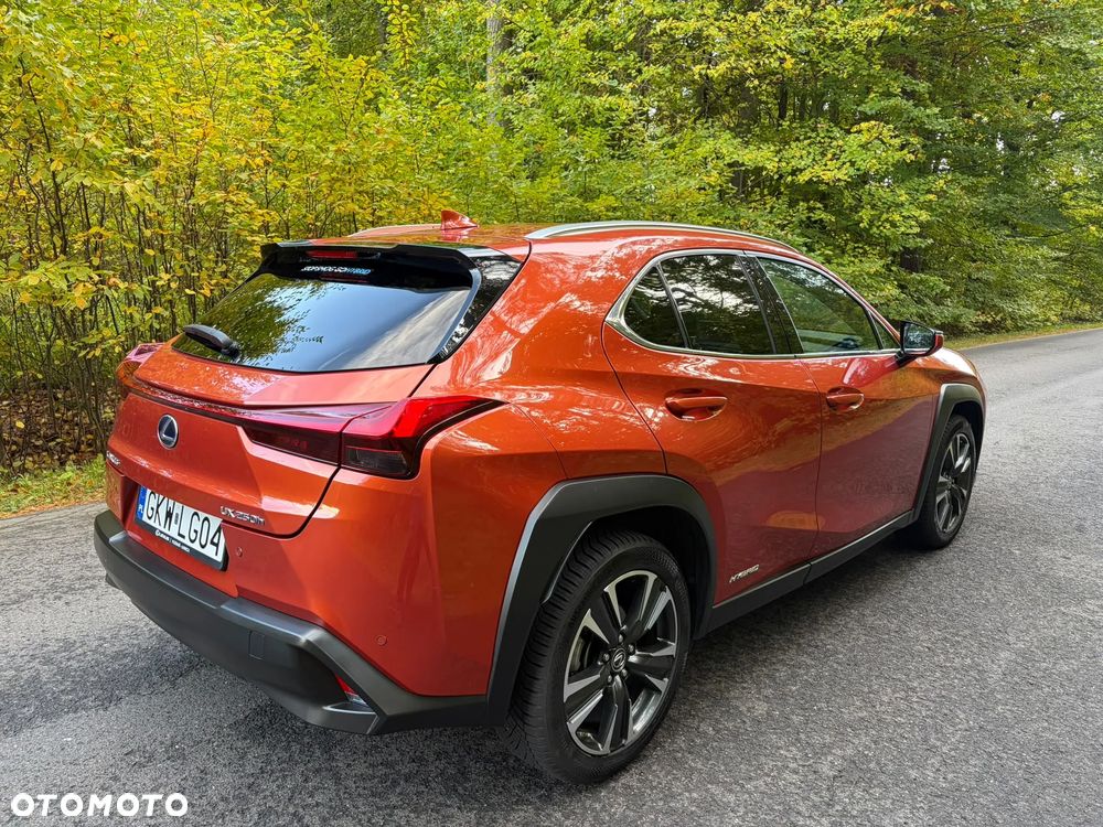 Lexus UX - 6