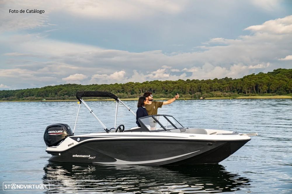 Bayliner Element M17 - 5