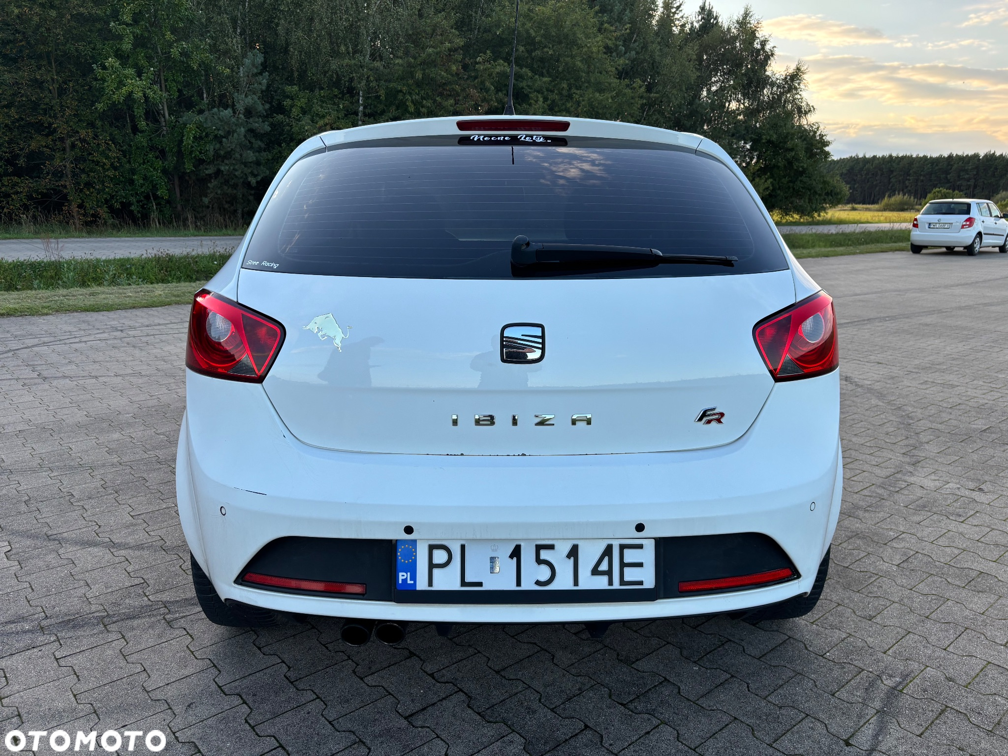 Seat Ibiza 2.0 TDI FR - 4