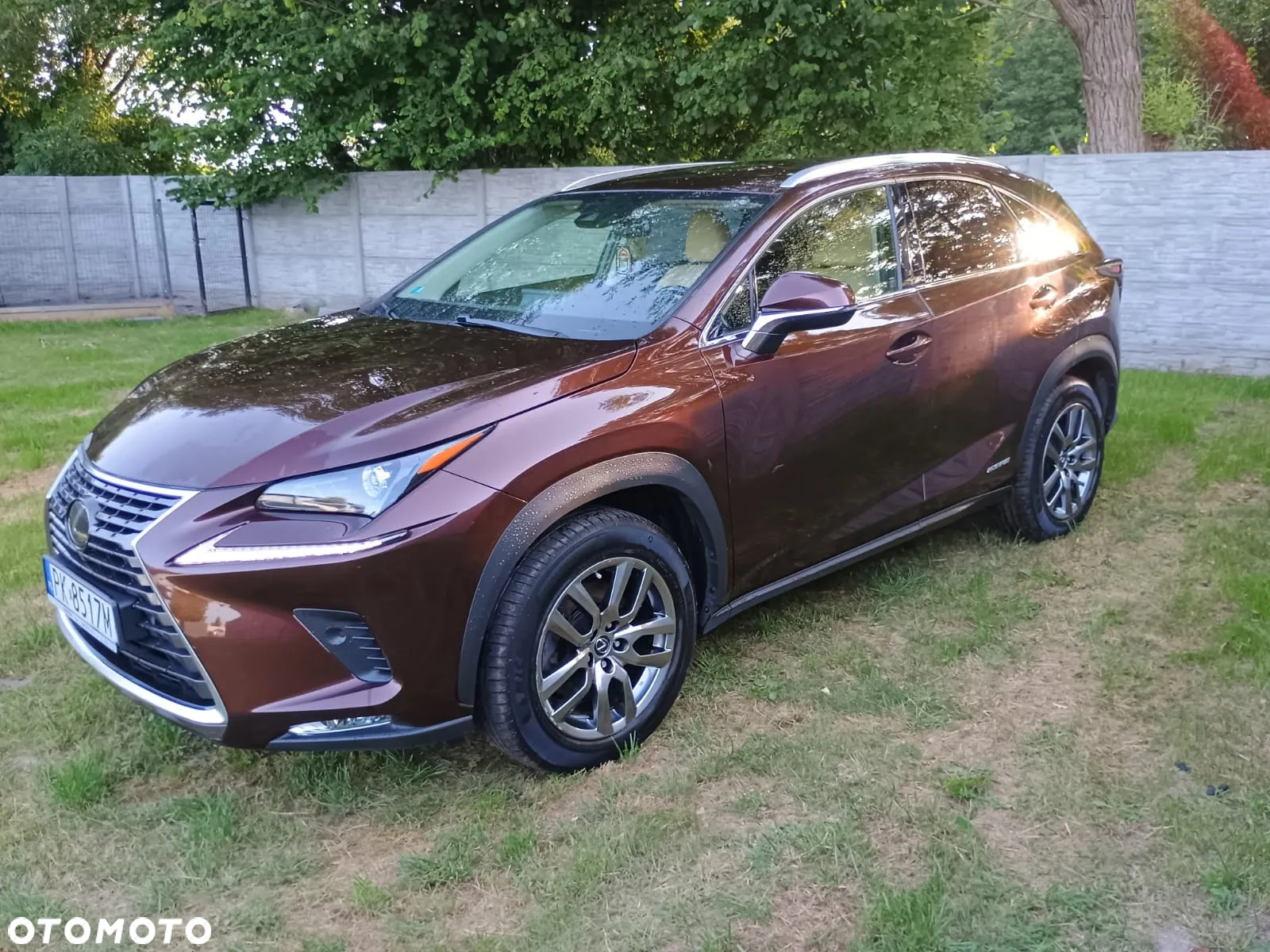 Lexus NX 300h Elegance AWD - 4