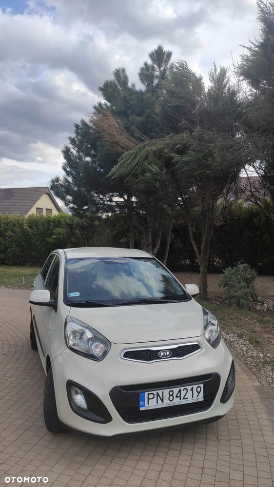 Kia Picanto 1.0 Vision - 1