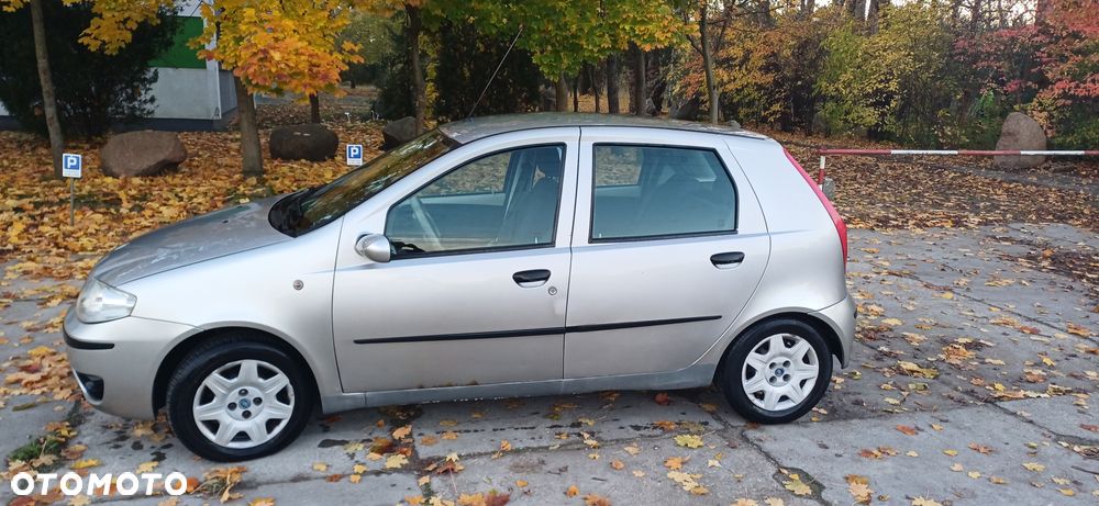 Fiat Punto - 31