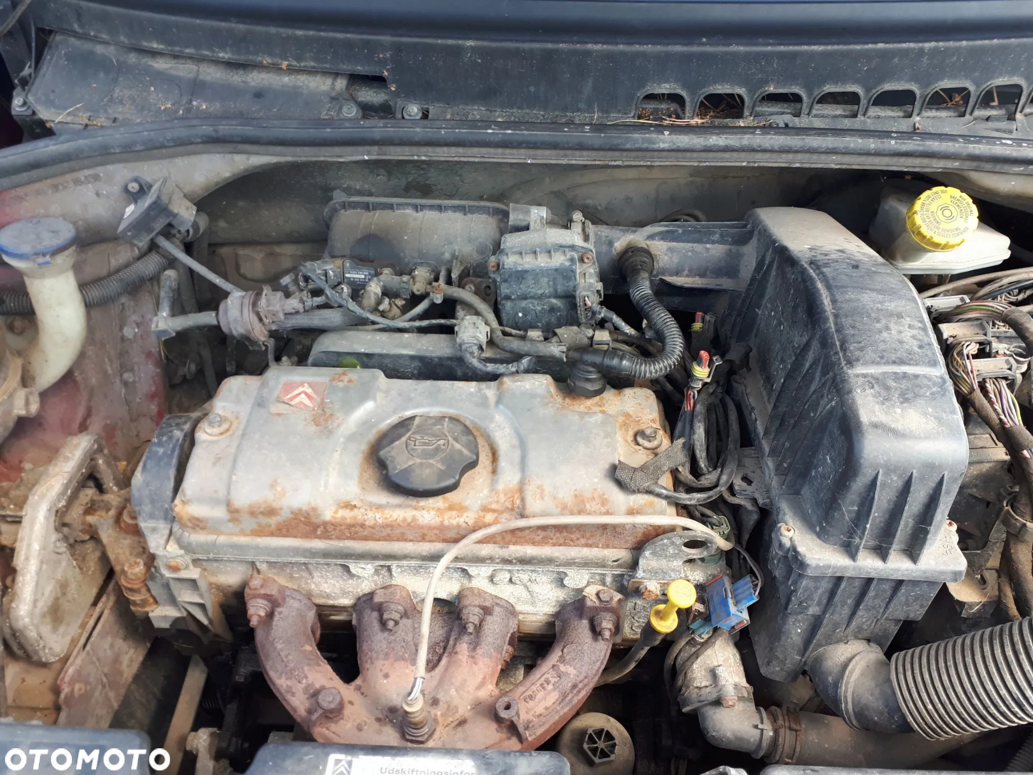 CITROEN C3 PLURIEL 03-10 1.4 8V PAS PRZÓD PRZEDNI KOMPLETNY - 21
