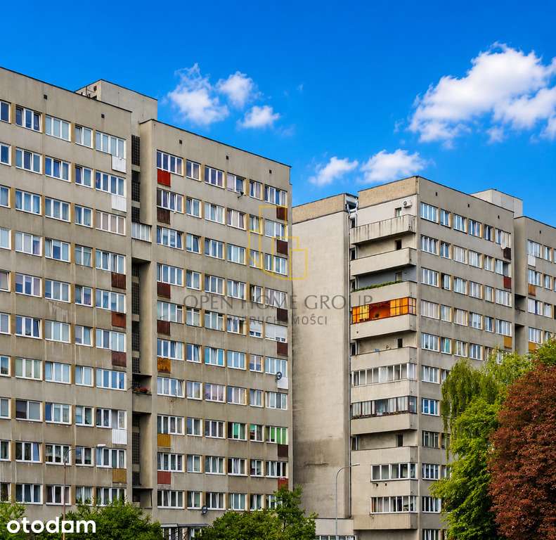 Szczepin/2pok./winda/piwnica/balkon/francuski/top