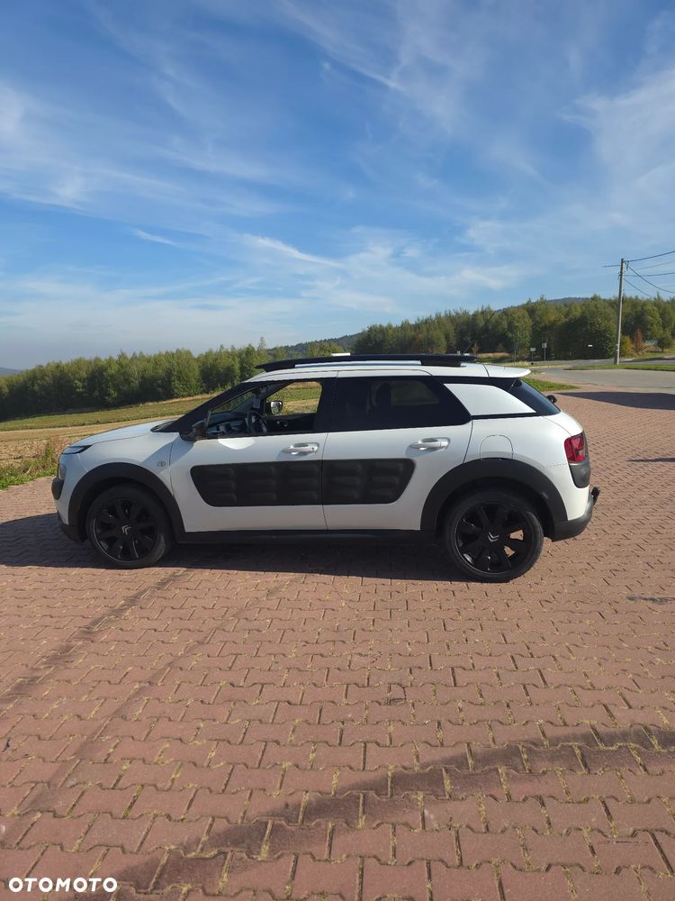 Citroën C4 Cactus 1.6 Blue HDi Shine ETG - 15
