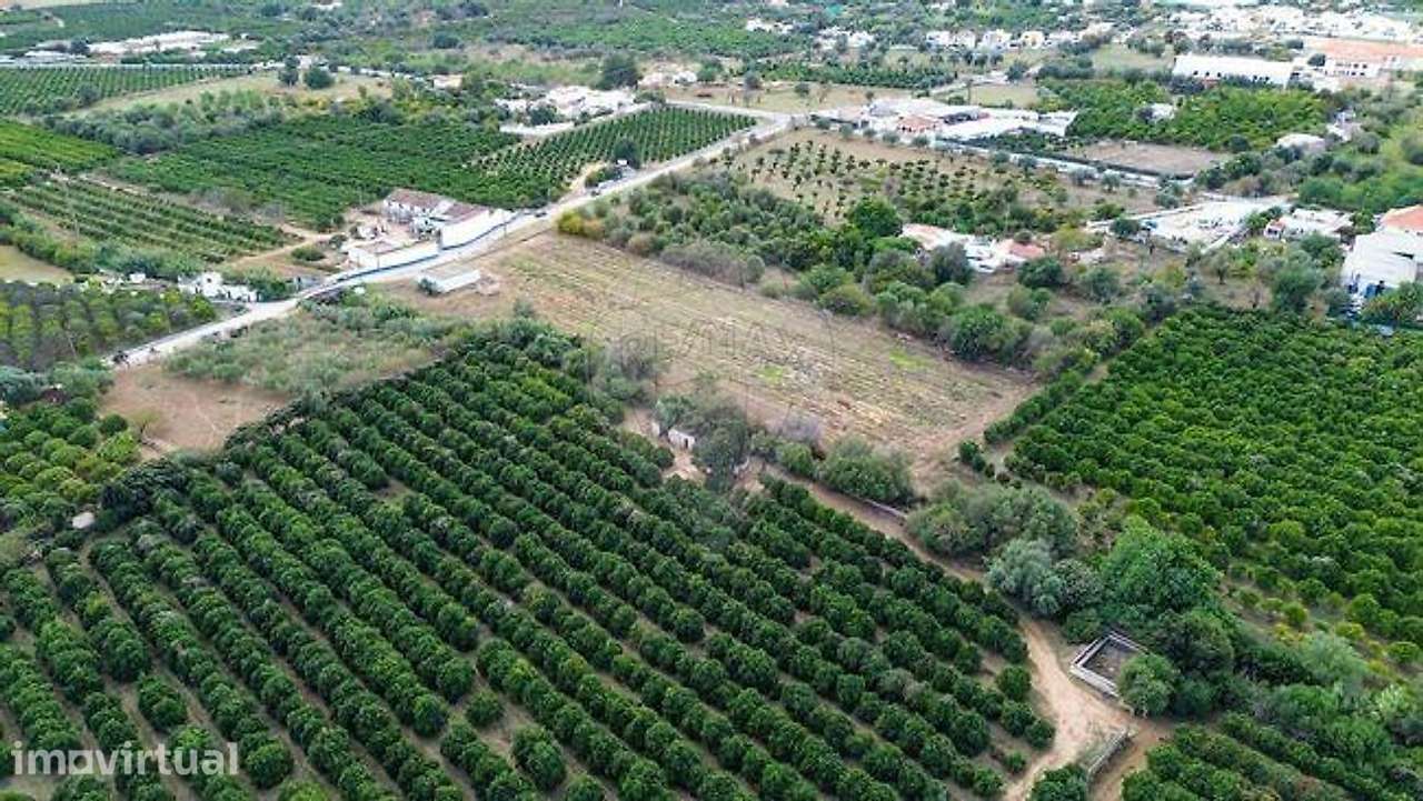 Terreno  para venda - Grande imagem: 5/45