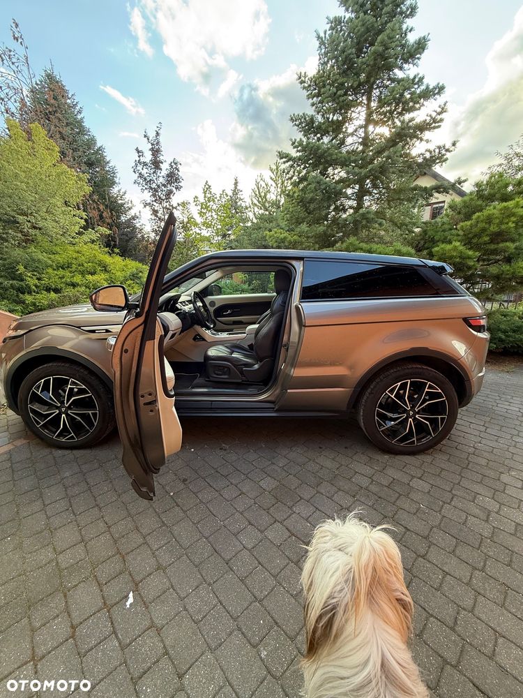 Land Rover Range Rover Evoque - 5