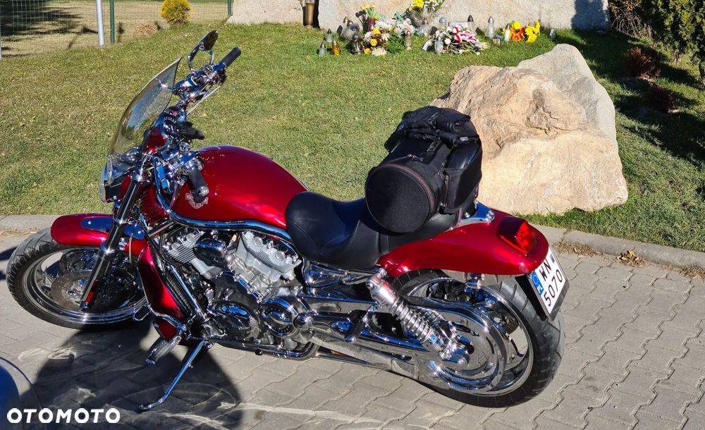 Harley-Davidson Softail V-Rod - 3