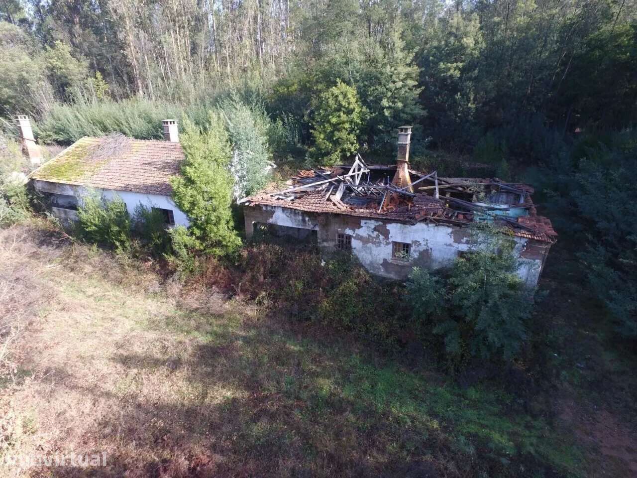 Quinta Palmaz Oliveira de Azeméis - Grande imagem: 3/24