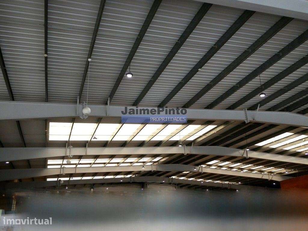 Loja, Escritório, Armazém, Espaço Flexível, 4.100m2. Portugal, Cast... - Grande imagem: 3/5