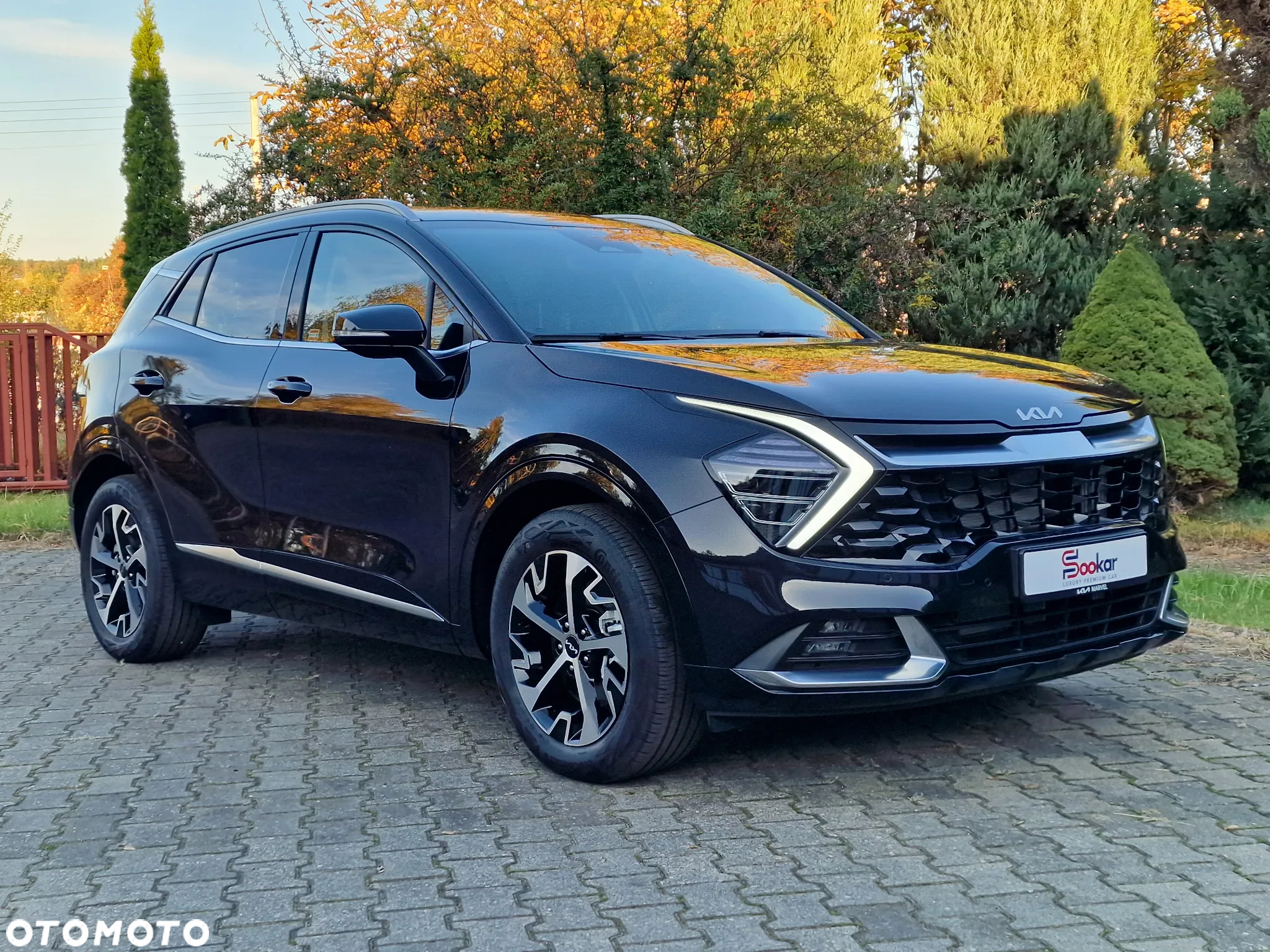 Kia Sportage 1.6 T-GDI Business Line 2WD DCT - 2