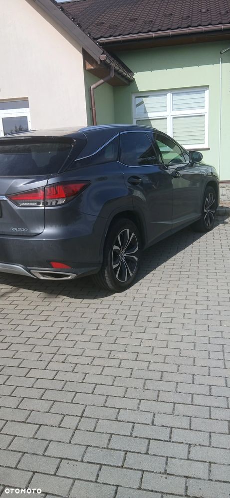 Lexus RX 300 Business Edition + - 3