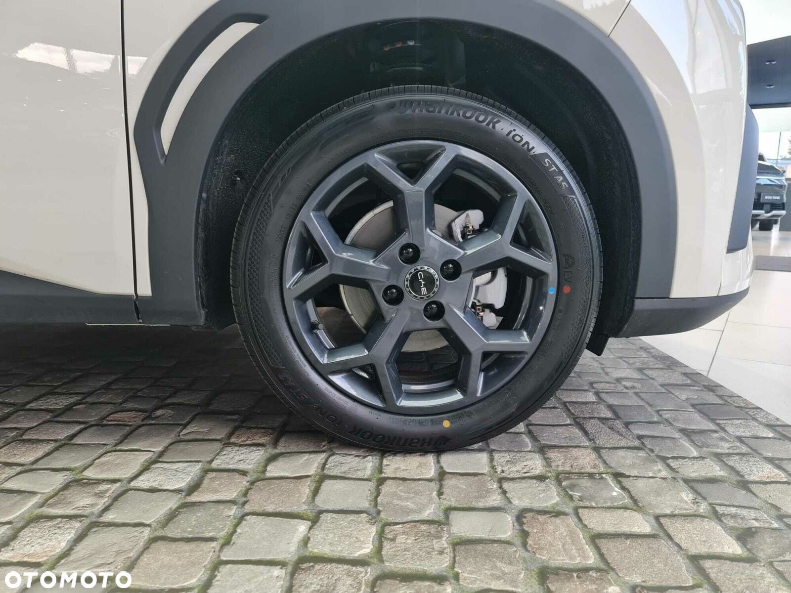 BYD Dolphin Mini - 12