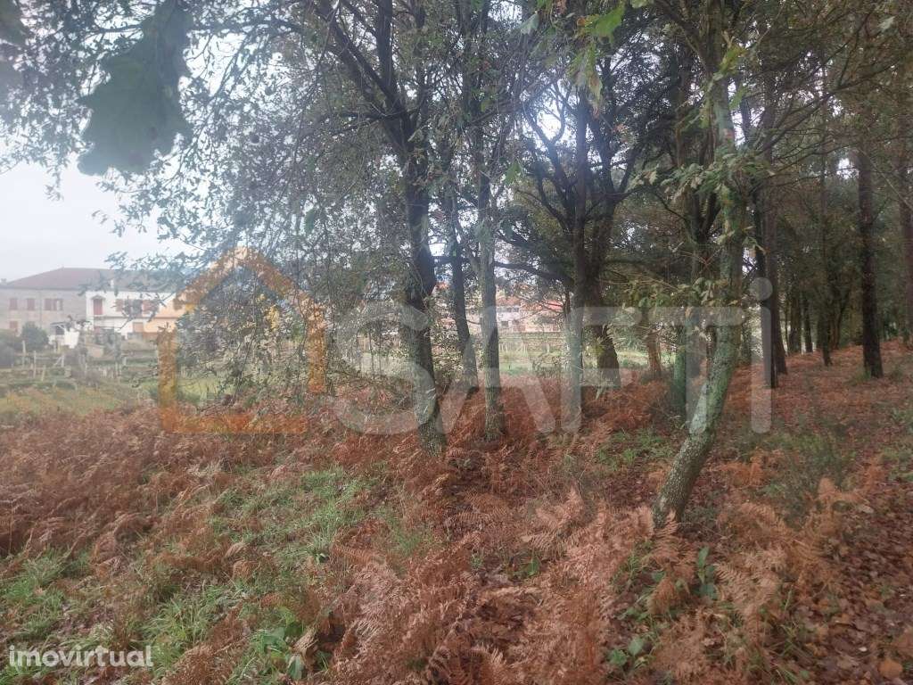 Terreno Rustico, para construção de 3 moradia - Grande imagem: 3/8