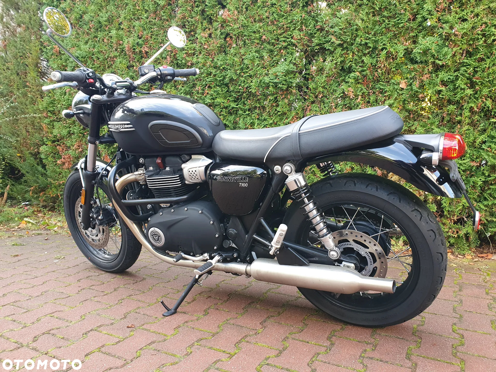 Triumph Bonneville - 11