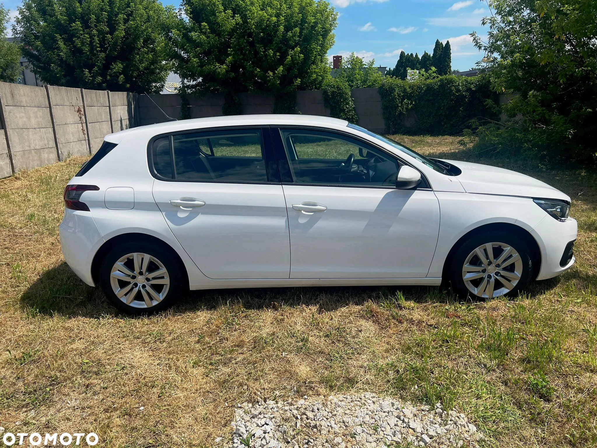 Peugeot 308 1.5 BlueHDi Active S&S - 2
