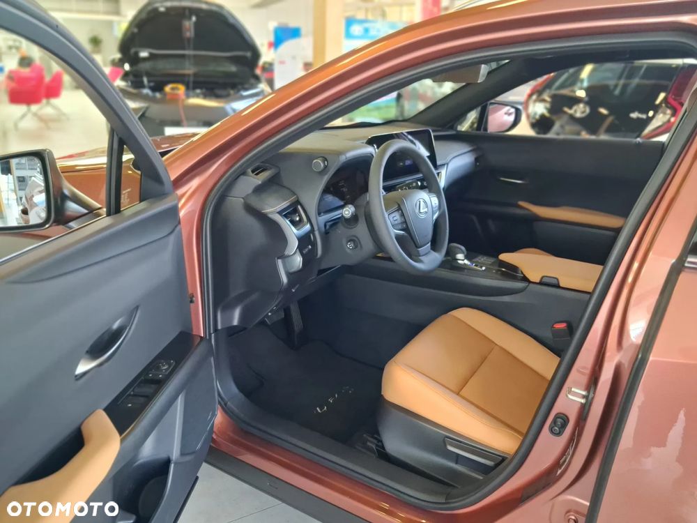 Lexus UX 300h F Sport Design - 13