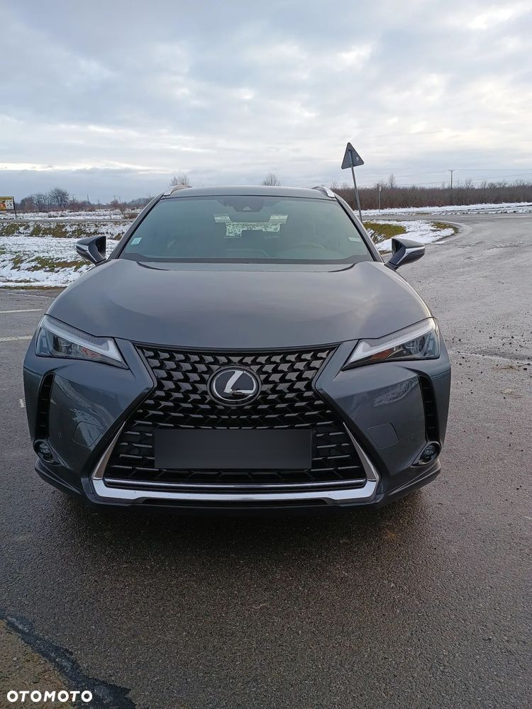 Lexus UX 250h GPF Business Edition 2WD - 9