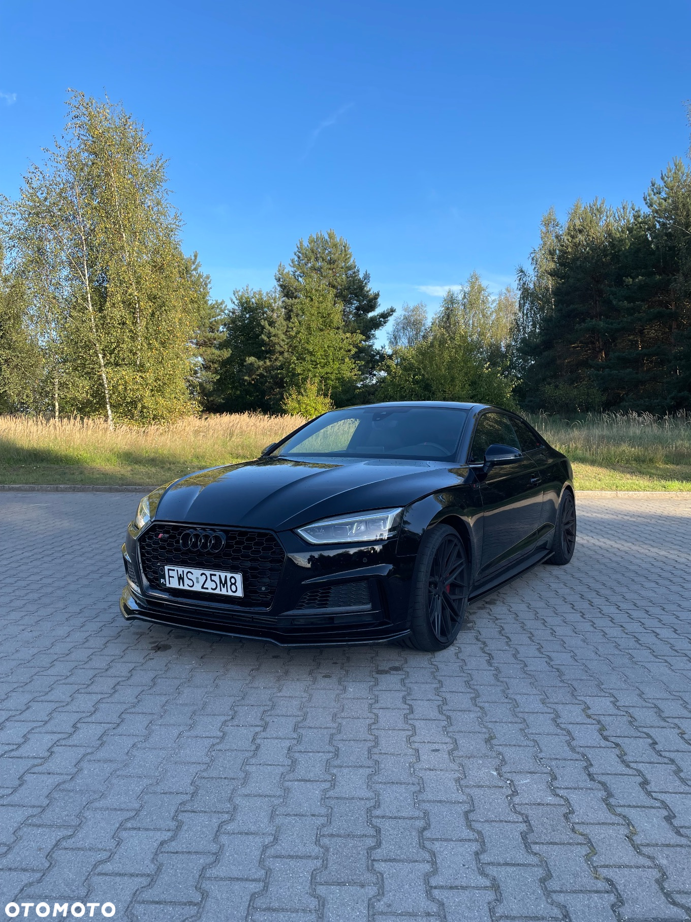 Audi S5 Coupé 3.0 TFSI quattro tiptronic - 14