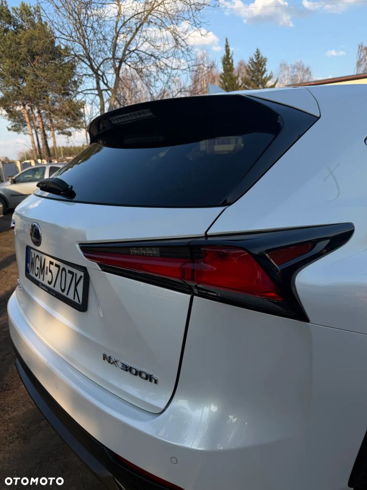 Lexus NX - 6