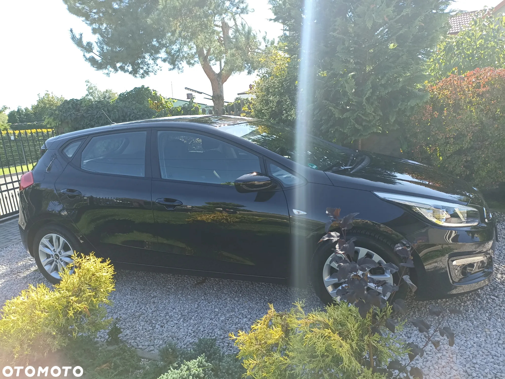 Kia Ceed - 5