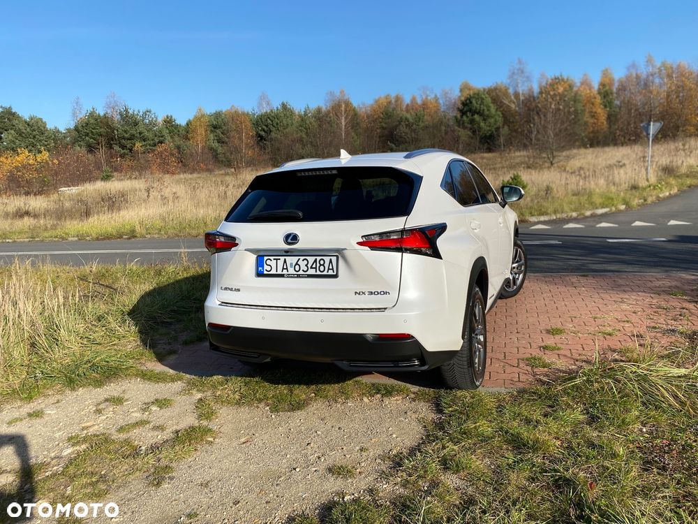 Lexus NX 300h Comfort AWD - 4