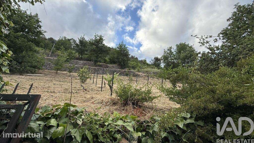 Quinta rural T4 em Parada de Cunhos de 120 m2 - Grande imagem: 3/40