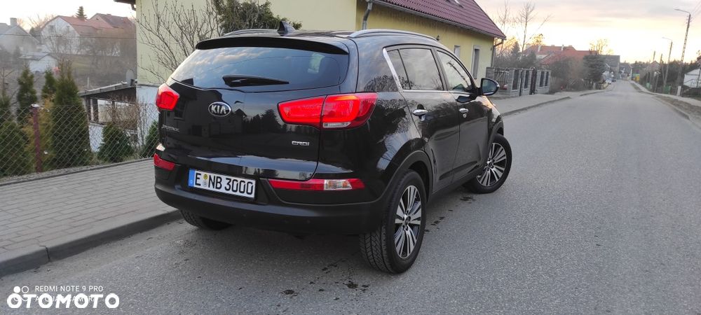Kia Sportage - 3