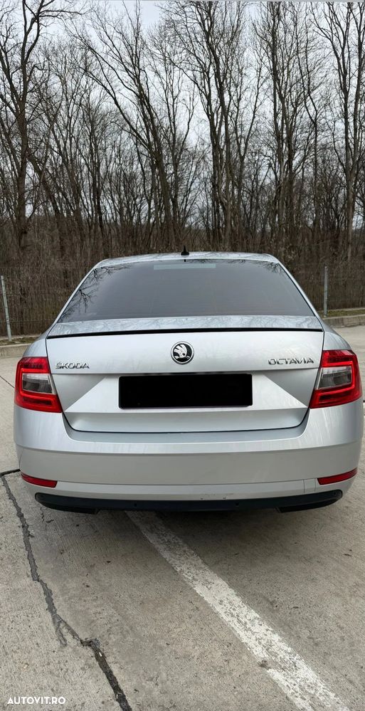 Skoda Octavia - 6