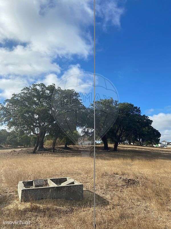 Quinta T0 para arrendamento - Grande imagem: 4/24