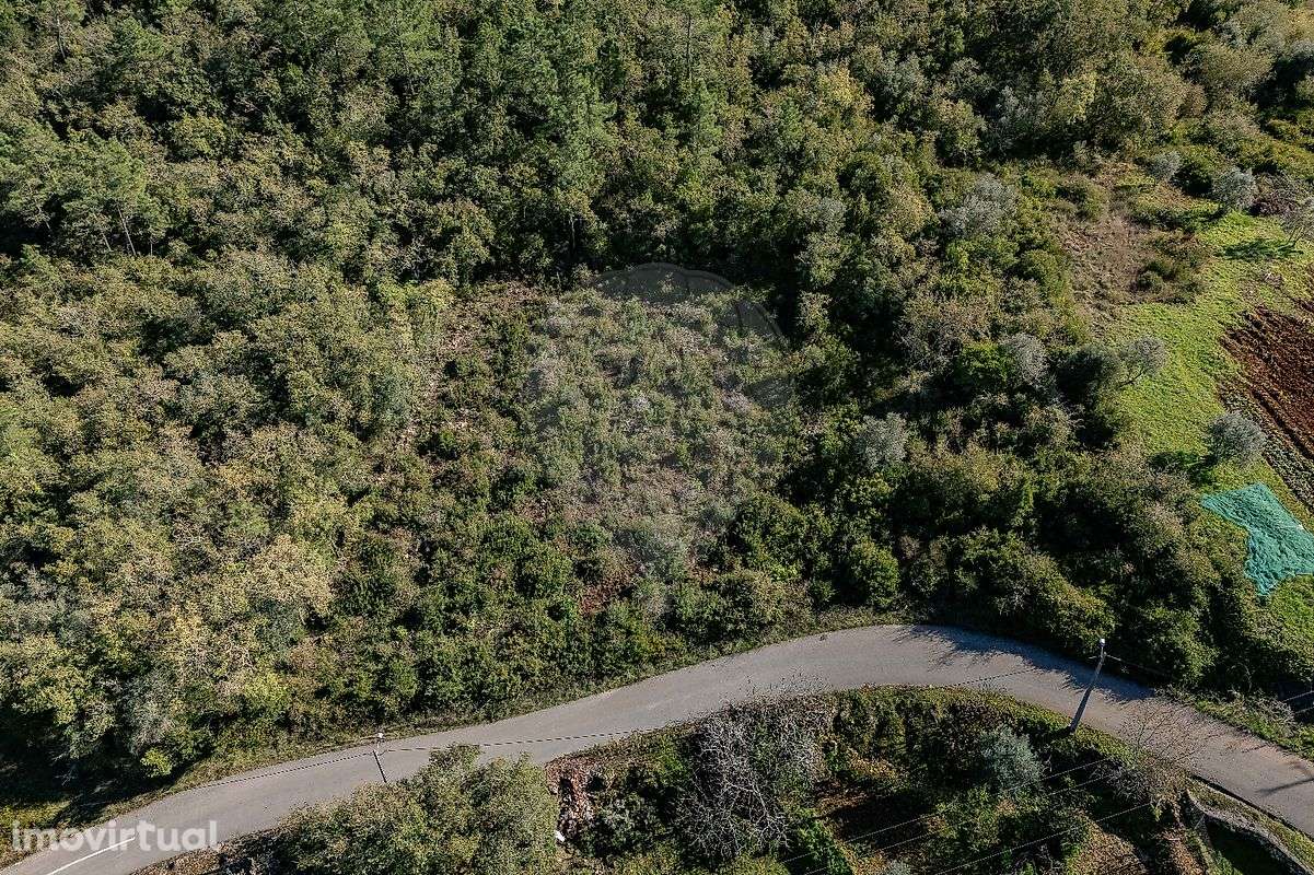 Terreno  para venda - Grande imagem: 2/29