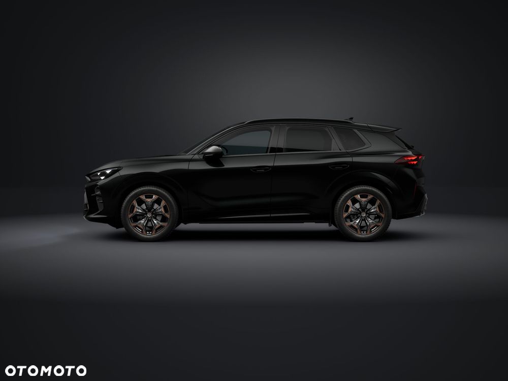 Cupra Terramar - 2
