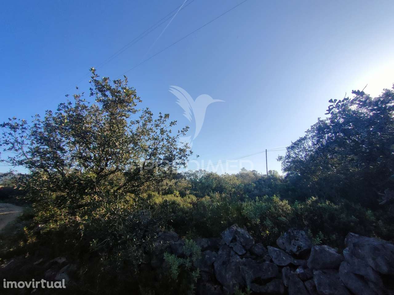 Terreno Rústico - Monsanto, Alcanena - Grande imagem: 5/14