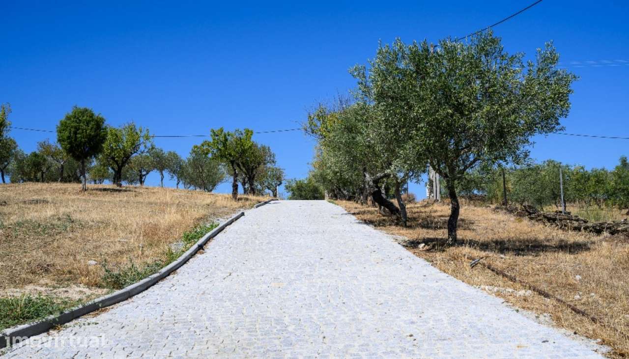 Quinta na Zona Histórica de Foz Côa no Douro Valley - Grande imagem: 5/25